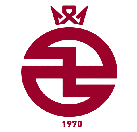 https://img.hkzxgy.com/img/football/team/9d81ea228cac35f27ff7d79078a54e36.png